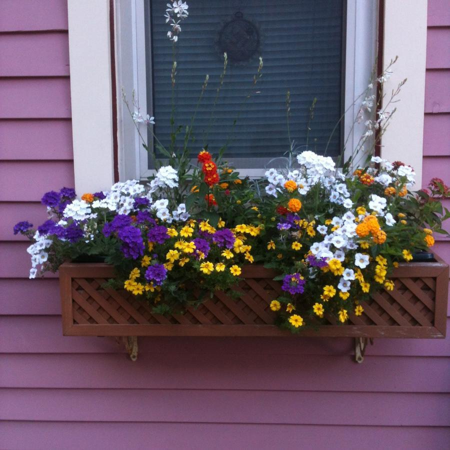 Rose & Thistle Bed & Breakfast Cooperstown Esterno foto