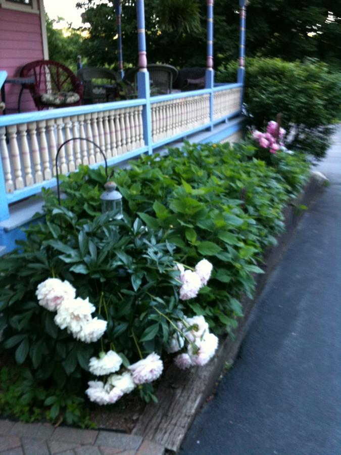 Rose & Thistle Bed & Breakfast Cooperstown Esterno foto